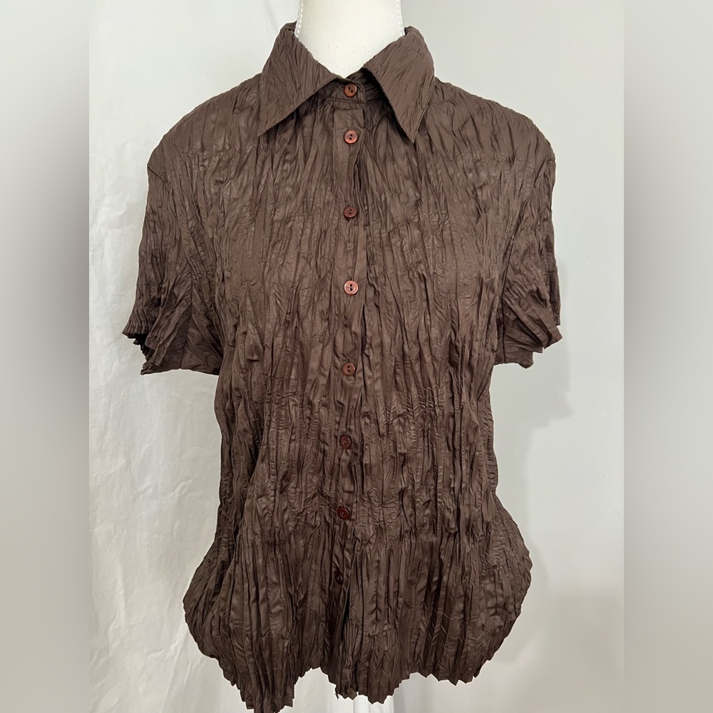 Jane Blue Brown Crinkle Button-Up Shirt